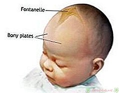 Hva er babyen myk flekk på hodet?