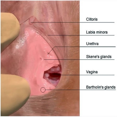 Wat veroorzaakt een gezwollen clitoris?
