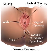 ¿Qué causa la rotura del perineo durante el coito?