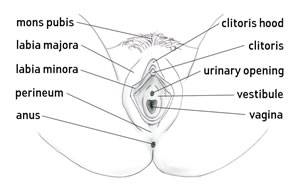 Vad orsakar perineumtår under intercourse?