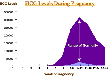 Testes durante a gravidez - New Kids Center