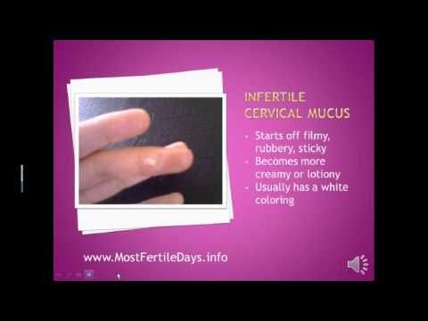 Mucusul cervical în timpul sarcinii - noul centru pentru copii
