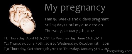 Normaali 38 viikkoa raskaana oleva kouristelu