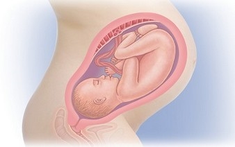 Нормальний 38 тижнів вагітної спазми