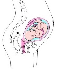 Sova på mage under graviditeten - Nytt barncenter