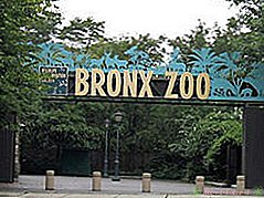 10 bedste zoologiske haver i USA