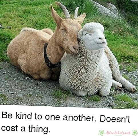 Tips om å være snill mot andre