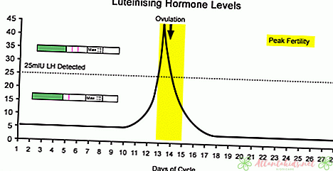 Mennyi ideig tart az LH túlfeszültség?