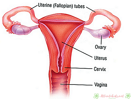 Typer af Fallopian Tube Cancer