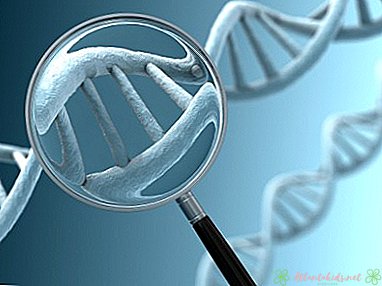Генетическое тестирование и беременность