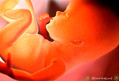 12 सप्ताह गर्भवती - नए बच्चे केंद्र