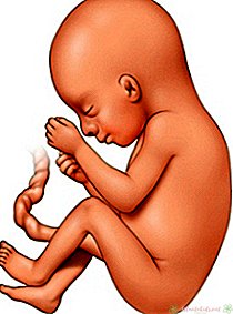 Mang thai 19 tuần - Trung tâm trẻ em mới