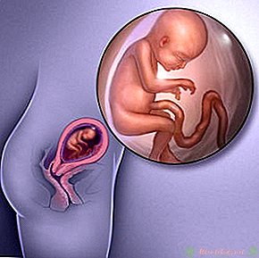 Tablica težine fetusa - novi centar za djecu