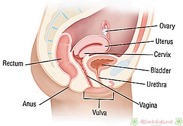 Bacteriële vaginose tijdens de zwangerschap - New Kids Centre